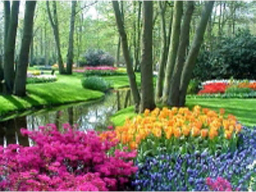 amsterdam-super-saver-1-keukenhof-gardens-day-trip-and-amsterdam-city-in-amsterdam-39539.jpg