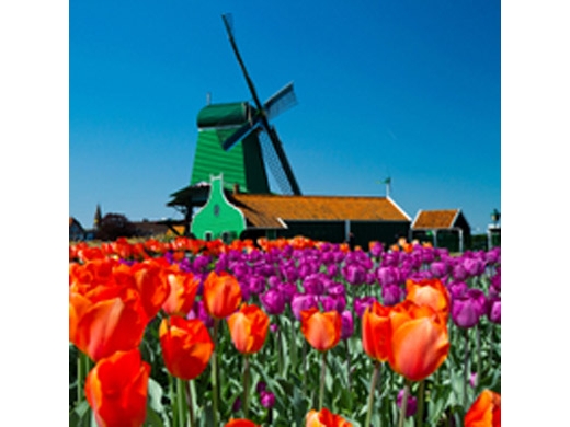 amsterdam-super-saver-3-city-tour-zaanse-schans-windmills-volendam-in-amsterdam-115706.jpg