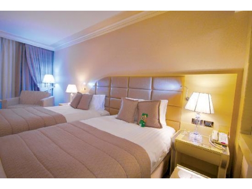 eser-premium-hotel-spa-5-520_390.jpg