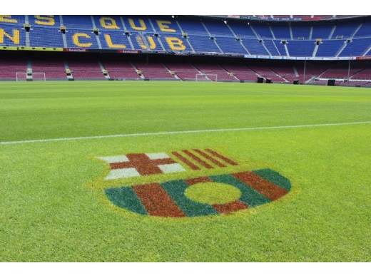 fc-barcelona-football-stadium-tour-and-museum-tickets-1-520_390.jpg