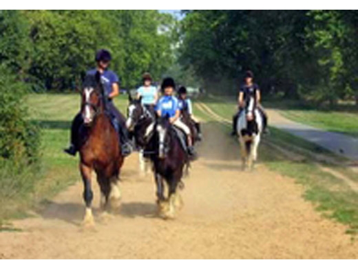 horse-riding-in-hyde-park-in-london-36838.jpg