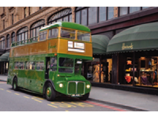 london-vintage-bus-tour-with-champagne-tea-at-harrods-in-london-126561.jpg
