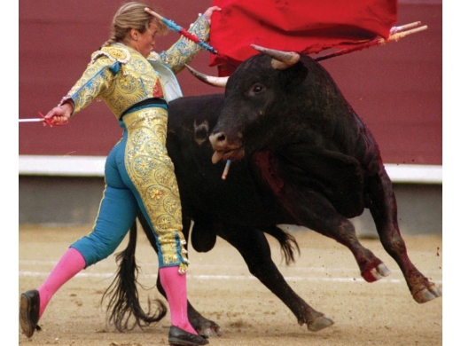 madrid-sightseeing-tour-and-bullfight-at-las-ventas-bullring-1-520_390.jpg