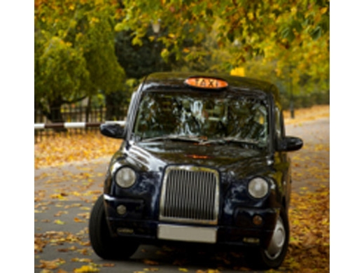 private-tour-customized-black-cab-tour-of-london-in-london-118186.jpg