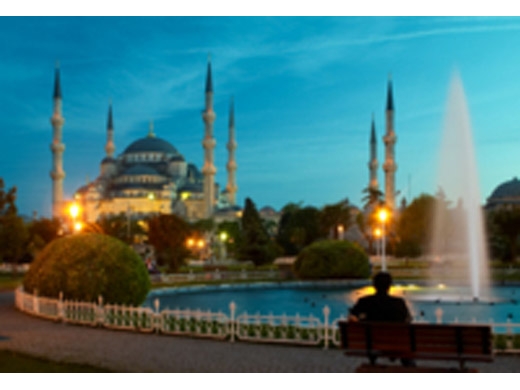 private-tour-istanbul-by-night-with-turkish-dinner-and-show-in-istanbul-119867.jpg