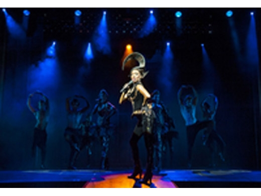 the-bodyguard-musical-theater-show-in-london-in-london-135627.jpg