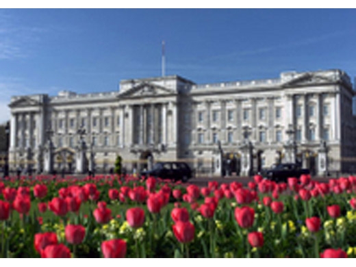 the-royal-london-tour-including-buckingham-palace-in-london-43751.jpg