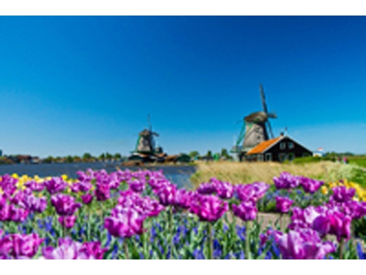 zaanse-schans-windmills-marken-and-volendam-half-day-trip-from-in-amsterdam-115708.jpg